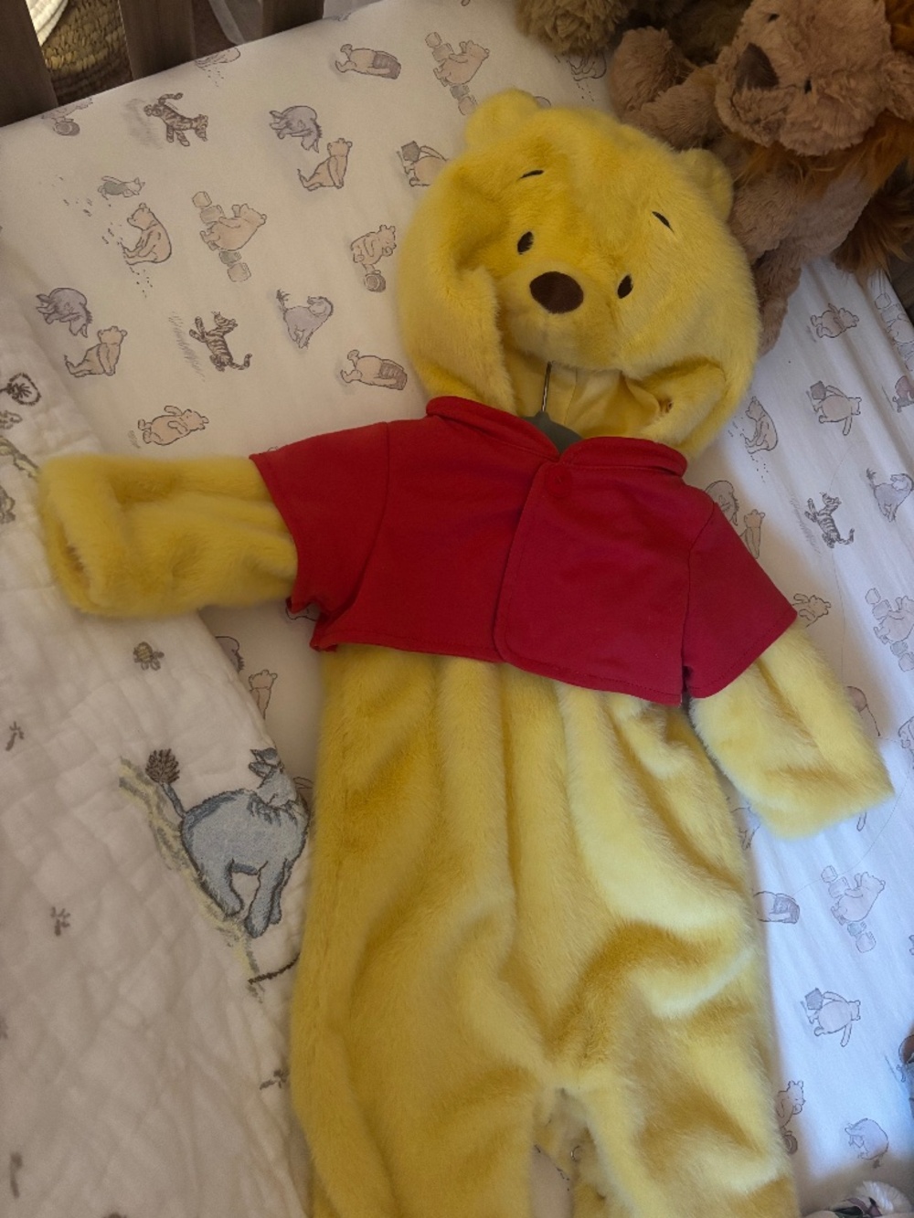 Pottery barn Winnie the Pooh Pooh baby costume 0-6 months